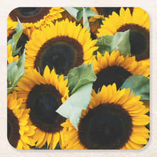 Washington, Seattle, Sunflower for sale pike Vierkante Kartonnen Onderzetter