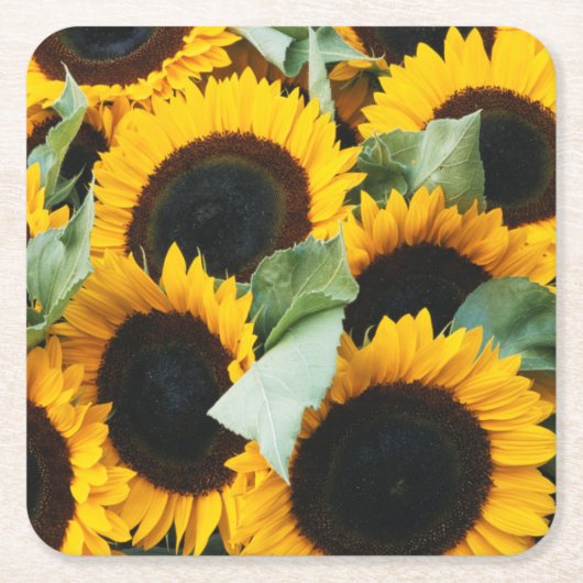Washington, Seattle, Sunflower for sale pike Vierkante Kartonnen Onderzetter (Voorkant)