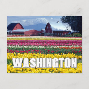 Washington State Tulpenveld Briefkaart