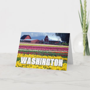 Washington State Tulpenveld Dank U Bedankkaart
