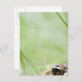 Washington, Verenigde Staten Briefkaart (Voorkant / Achterkant)