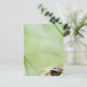 Washington, Verenigde Staten Briefkaart (Staand voorkant)