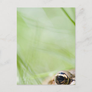 Washington, Verenigde Staten Briefkaart