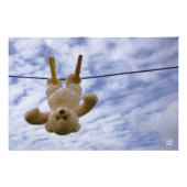 Waslijn met knuffelbeer die hangt te drogen. foto afdruk (Voorkant)