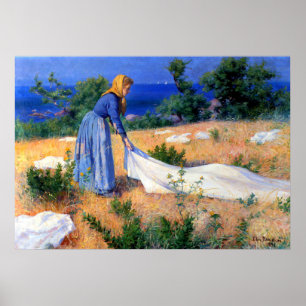 Wasmachine Elin Danielson-Gambogi 1896 Poster