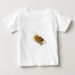 Wasp