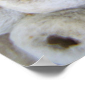 Wasp afkomstig van nestPoster Poster (Hoek)