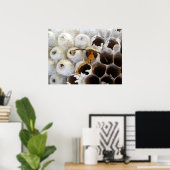 Wasp afkomstig van nestPoster Poster (Thuiskantoor)