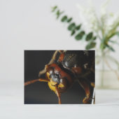 Wasp Briefkaart (Staand voorkant)