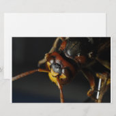 Wasp Briefpapier (Voorkant / Achterkant)