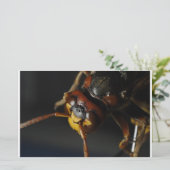 Wasp Briefpapier (Staand voorkant)