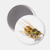 Wasp Magneet (Voorkant / Achterkant)