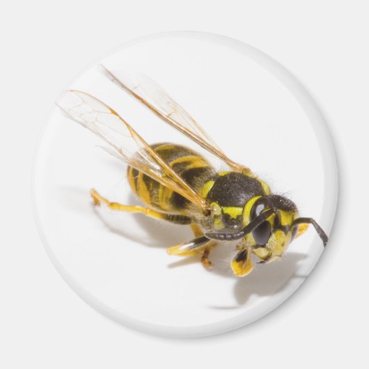Wasp Magneet (Voorkant)