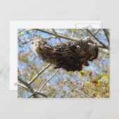Wasp Nest. Yikes! Briefkaart (Voorkant / Achterkant)