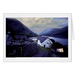 Wassen bij de witte katoen