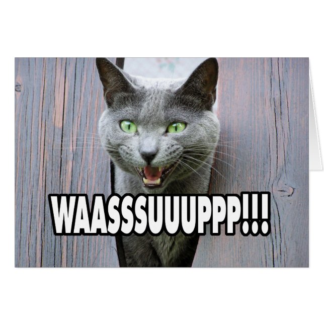 WASSUP - Kattenthema (Voorkant Horizontaal)