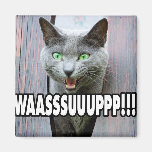 WASSUP - Kattenthema Magneet