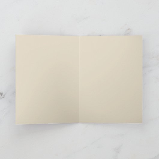 wasverrassing (Binnen)