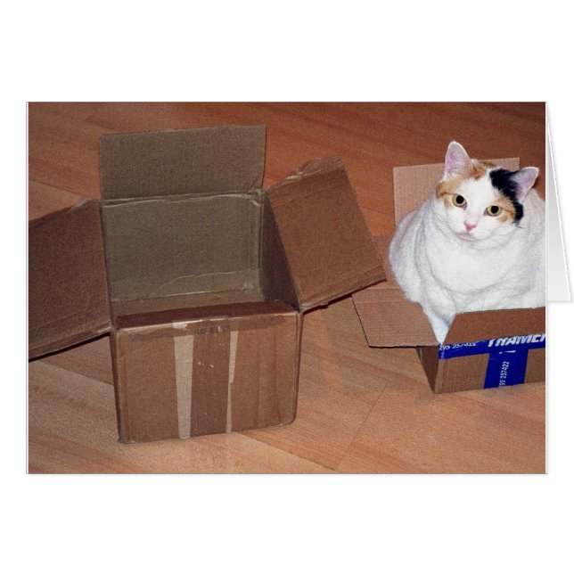 Wat bedoel je dat ik een grotere maat nodig heb? (Voorkant Horizontaal)