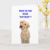 Wat bedoelt u " verjaardag"? kaart (Gele Bloem)