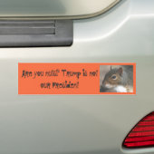 Wat ben je gek!Trump is niet ons President Bumpersticker (Op auto)