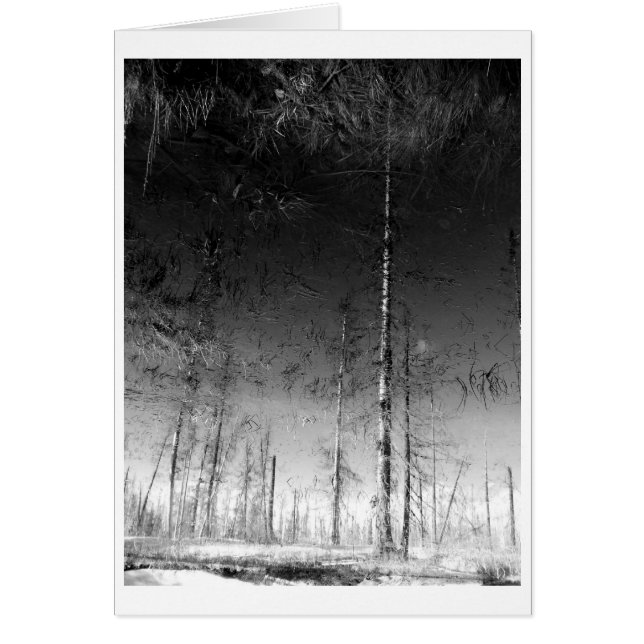 Wat blijft er over (Voorkant)