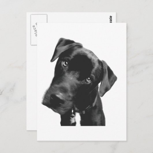 Wat? Briefkaart (Voorkant / Achterkant)