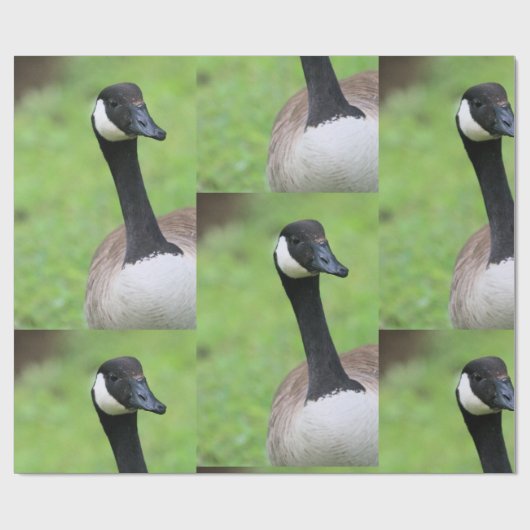 Wat Cadeaupapier (Vlak)