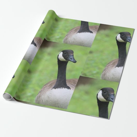 Wat Cadeaupapier (Uitgerold)