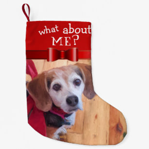 Wat dacht je van me Red Bow Pet Dog Cat Foto Funny Kleine Kerstsok