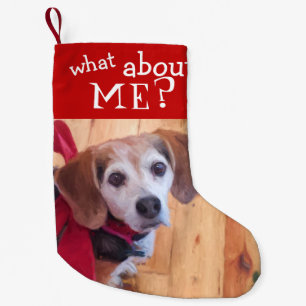 Wat dacht je van mij Pet Dog Cat Photo Funny Kleine Kerstsok