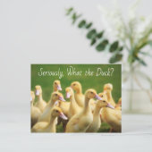 Wat de Duck Cute Ducklings Briefkaart (Staand voorkant)