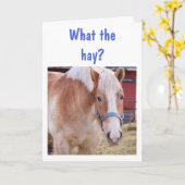 "Wat de hooi?" Horse Birthday Kaart (Gele Bloem)