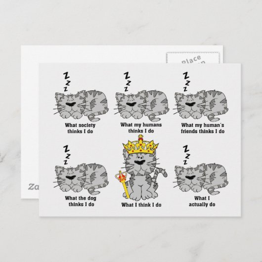 Wat de kat grappig vindt briefkaart (Voorkant / Achterkant)