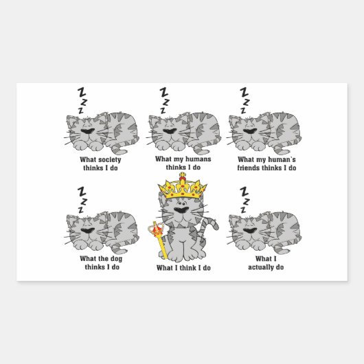 Wat de kat grappig vindt rechthoekige sticker (Voorkant)