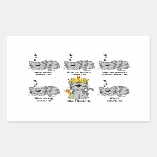 Wat de kat grappig vindt rechthoekige sticker