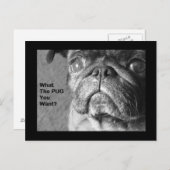 Wat de pug briefkaart (Voorkant / Achterkant)