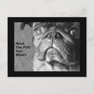 Wat de pug briefkaart