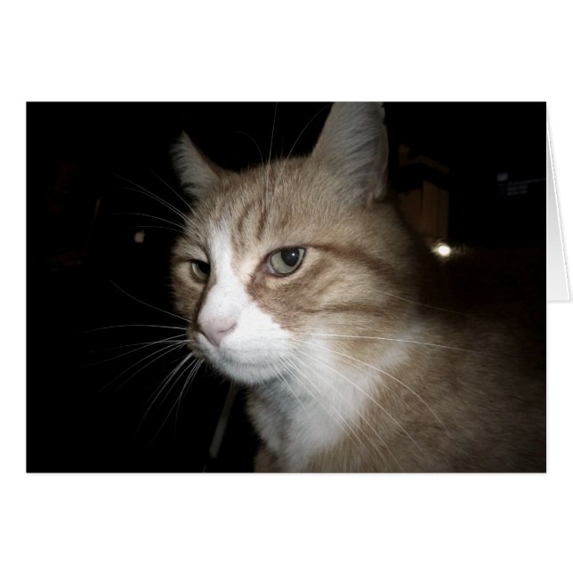 Wat denkt hij? (Voorkant Horizontaal)