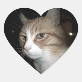 Wat denkt hij? hart sticker