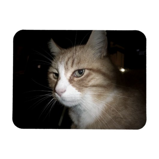 Wat denkt hij? magneet (Horizontaal)