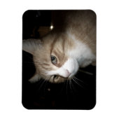 Wat denkt hij? magneet (Verticaal)