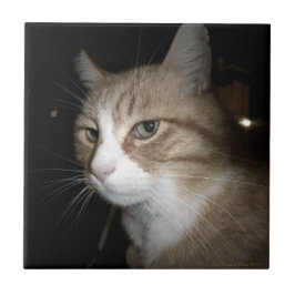 Wat denkt hij? tegeltje