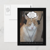 Wat doen huiskatten de hele dag? briefkaart (Voorkant / Achterkant)