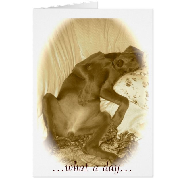 ...Wat een dag... (Voorkant)