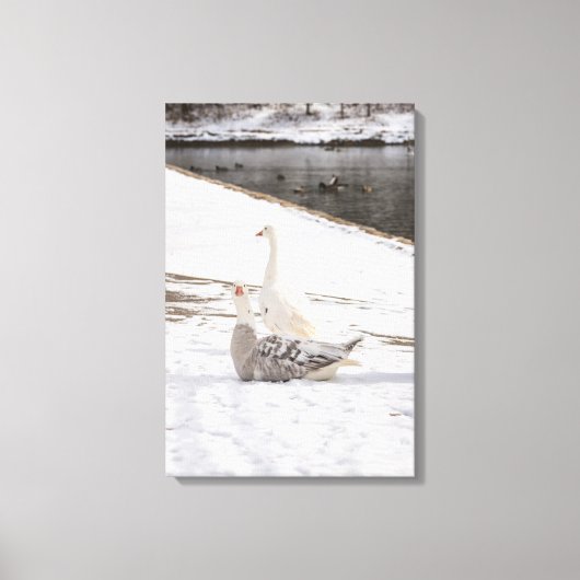 Wat een gans canvas afdruk (Voorkant)