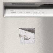 Wat een gans magneet (Insitu (Vaatwasser))
