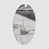 Wat een gans ornament (voorkant)