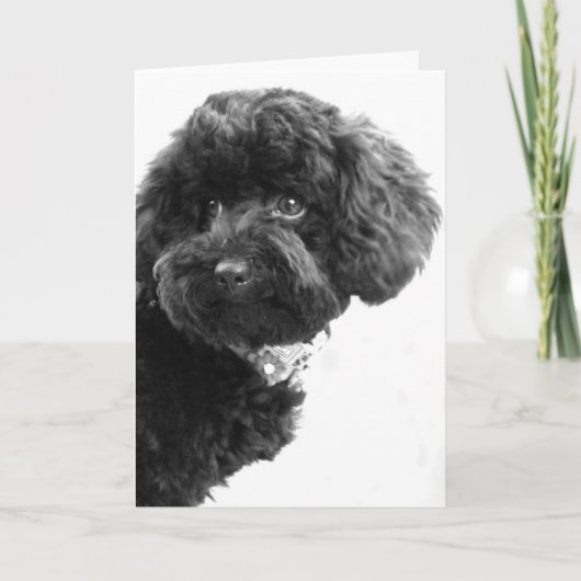 Wat? Feestdagen Kaart (Voorkant)