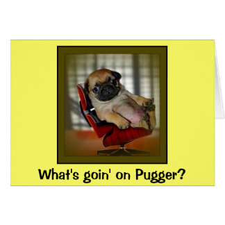 Wat gebeurt er met Pugger?